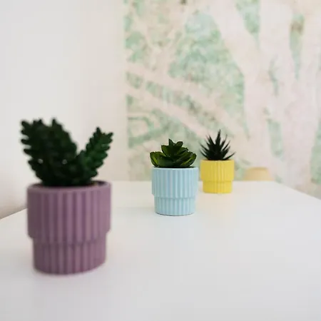 Daire Le Petit Lemire - Jardin & Equipe Nancy